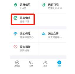 螞蟻借唄被關(guān)閉，去哪借靠譜的貸款？