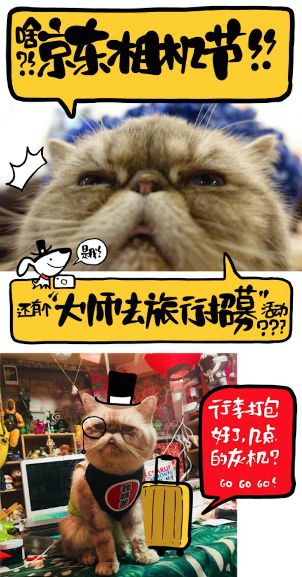 京東相機(jī)節(jié)“大師帶你去旅行”活動(dòng)到底多誘人？貓咪都嚷著參加