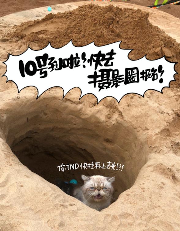 京東相機(jī)節(jié)“大師帶你去旅行”活動(dòng)到底多誘人？貓咪都嚷著參加