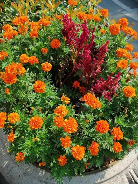 華為麥芒7上手體驗(yàn)：或許這才是實(shí)用型手機(jī)該用的模樣