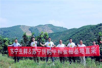蘇寧928超級(jí)拼購日，蜜柚單日銷量突破30萬單