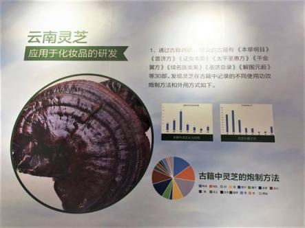 植物學(xué)大會(huì)高山“論劍”，植物醫(yī)生成果驚艷