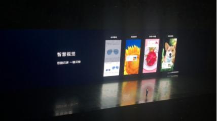 華為Mate 20國(guó)內(nèi)發(fā)布，9款機(jī)型開(kāi)放2萬(wàn)EMUI9.0升級(jí)名額