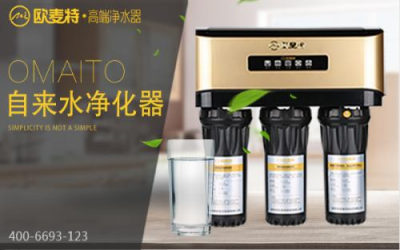 雙十一來了 凈水器選購哪個牌子好？