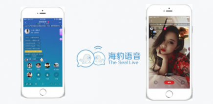 海豹聊天：社交直播產(chǎn)業(yè)的發(fā)展要瞄準95后、00后的需求
