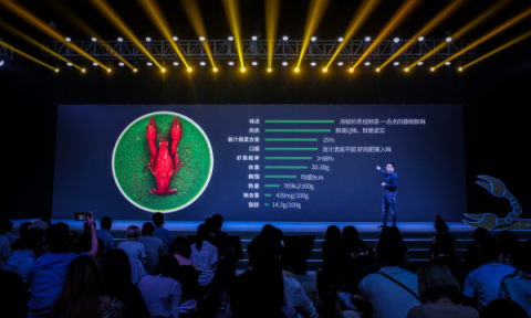 互聯(lián)網(wǎng)公司雙十一員工減壓出新招，網(wǎng)易“豬場(chǎng)”變“鵝廠”？