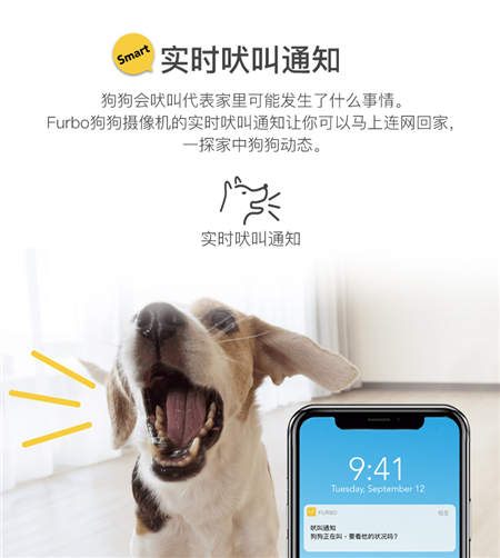 北美暢銷的養(yǎng)狗神器Furbo正式入駐國內(nèi)，開啟智能養(yǎng)寵新時代