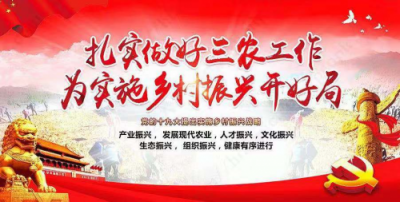 蘇寧零售云助力鄉(xiāng)村振興，改革開放40年要“全民造富”！