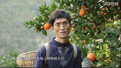 改革開放40周年，蘇寧成“鄉(xiāng)村振興”企業(yè)代言人