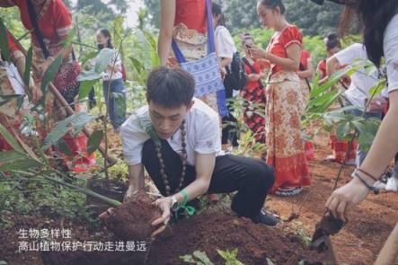 復(fù)建生物多樣性，DRPLANT植物醫(yī)生助力美麗中國