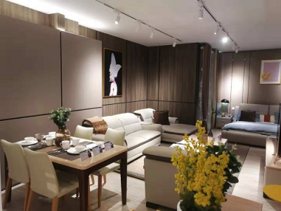 蘇寧智慧零售業(yè)態(tài)再升級，構筑品質消費增長新公路