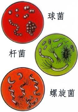 一次洗凈，從不拖泥帶水！華帝洗消烘存一體機H5洗得安心用的放心