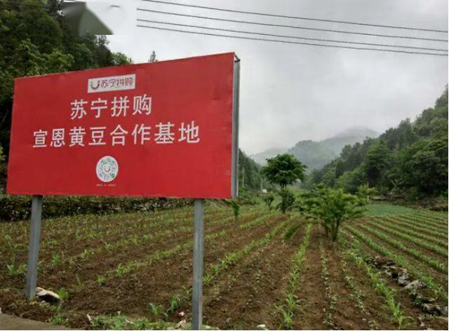 夯實(shí)開放賦能基硚???