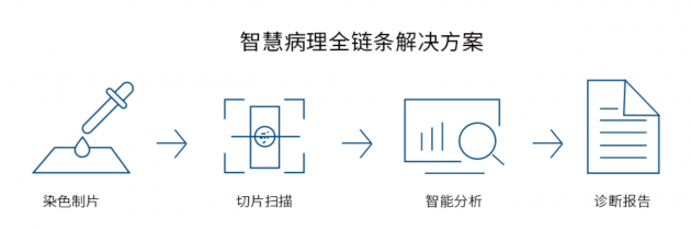 視見(jiàn)科技完成新一輪數(shù)千萬(wàn)融資，產(chǎn)業(yè)資本助力AI病理加速落地