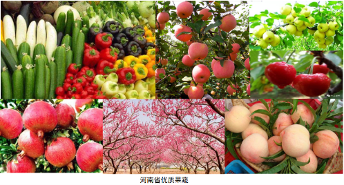10萬(wàn)獎(jiǎng)金 全球征集河南農(nóng)產(chǎn)品整體品牌形象
