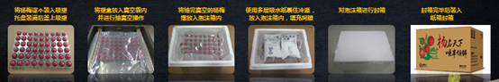 助力城鄉(xiāng)農(nóng)業(yè)特色經(jīng)濟(jì)走上新臺(tái)階！順豐升級(jí)楊梅寄遞行業(yè)解決方案