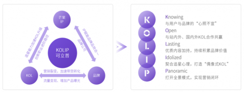 2020 KOL營銷洞察報告：可立普模式能否成為KOL營銷神器？