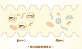 合生元HMO配方奶粉三大強(qiáng)化配方組合，建造更穩(wěn)定的成長(zhǎng)壁壘