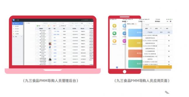 玄訊洞見｜“數(shù)字化”導(dǎo)購大翻身，且看九三食品如何利用數(shù)字化賦能導(dǎo)購管理？