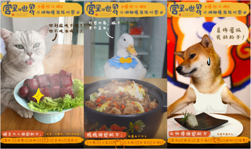 用味蕾打開“宮里的世界”，《爆炒江湖》全新聯(lián)動版本上線