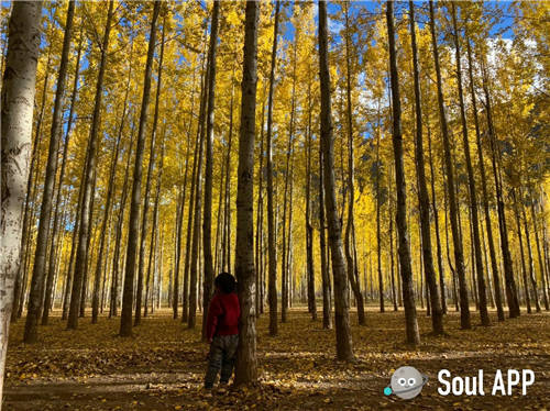 因受追捧而下載激增，Soul國(guó)慶登上App Store社交榜首