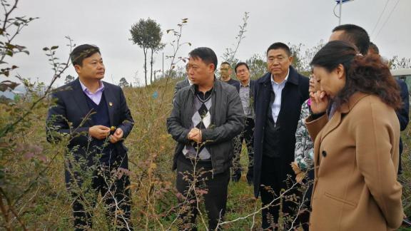 全國消費(fèi)扶貧月活動(dòng)成果展示發(fā)布會(huì)開幕，王老吉扶貧案例現(xiàn)場展出