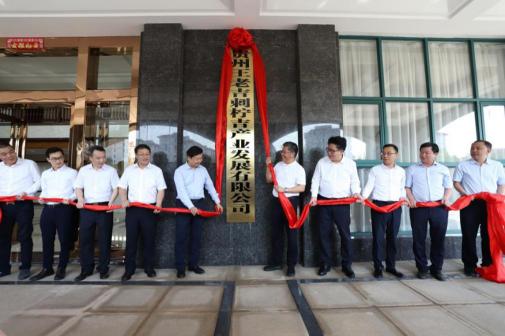 全國消費(fèi)扶貧月活動(dòng)成果展示發(fā)布會(huì)開幕，王老吉扶貧案例現(xiàn)場展出