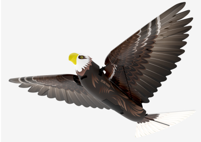 漢王仿生撲翼鳥Go Go Bird1000亮相上海玩博會，與萌娃共享仿生AI盛宴！