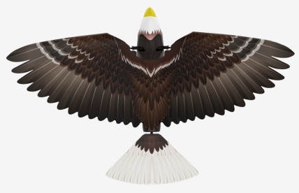漢王仿生撲翼鳥Go Go Bird1000亮相上海玩博會，與萌娃共享仿生AI盛宴！