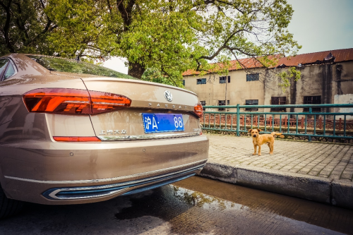 中保研碰撞安全認證，提車上汽大眾帕薩特全家都放心