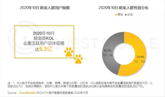 QuestMobile發(fā)布2020萌寵經(jīng)濟(jì)洞察報(bào)告，小象優(yōu)品等電商寵物用品銷量持續(xù)增長(zhǎng)