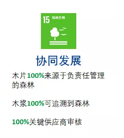 亞太森博發(fā)布2030可持續(xù)發(fā)展目標(biāo)，未來(lái)十年堅(jiān)持與綠色同行