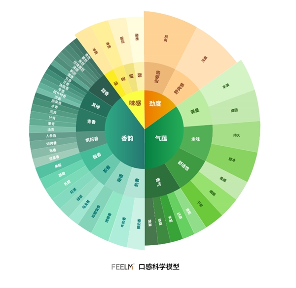 穿越口感秘境，F(xiàn)EELM打造口感科學體系
