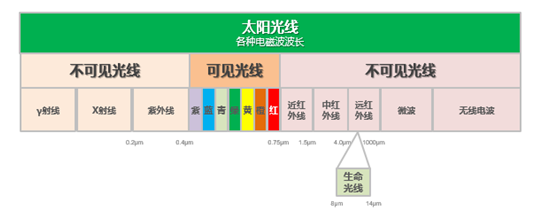 電飯煲只有日本的好？蘇泊爾電飯煲更懂中國(guó)人的胃