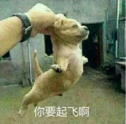 成人線上興趣班成新亮點，在線教育行業(yè)全面開花
