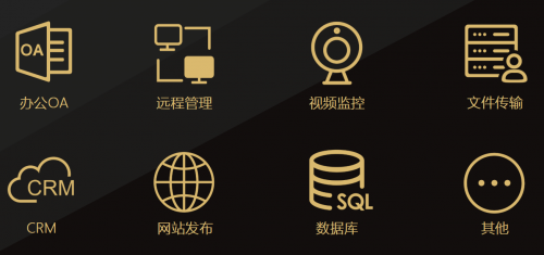 沒(méi)有公網(wǎng)IP，遠(yuǎn)程訪問(wèn)ERP/NAS/數(shù)據(jù)庫(kù)，助力疫情防控遠(yuǎn)程辦公！