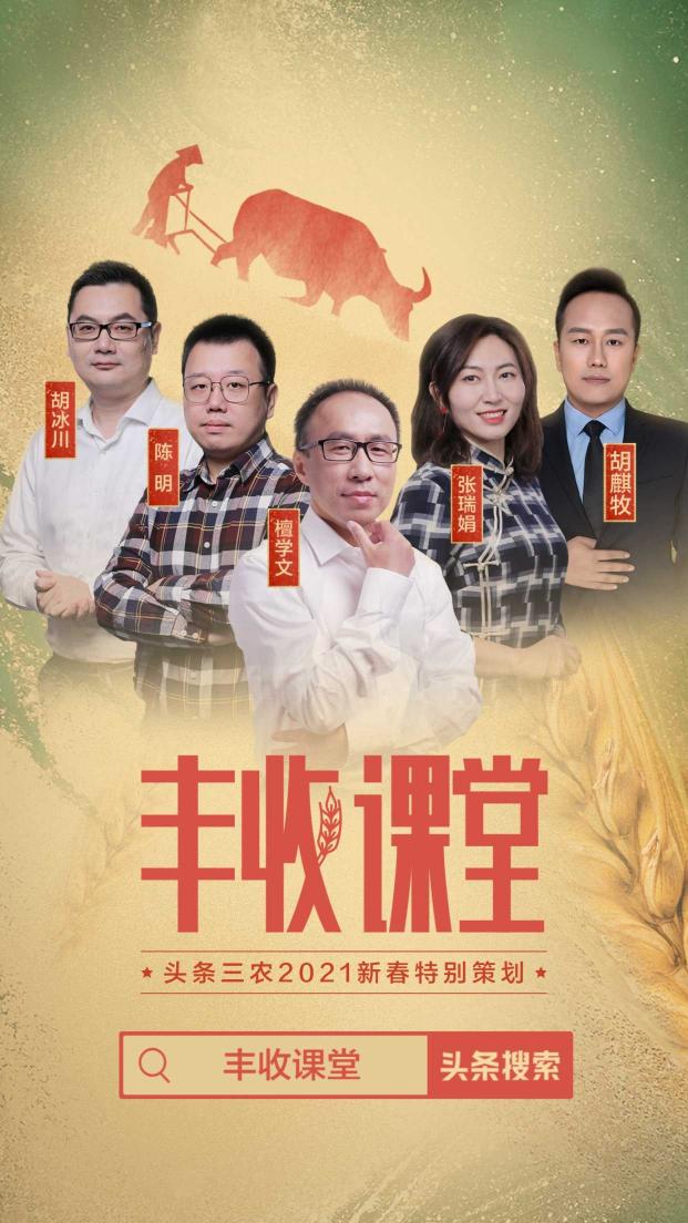 聚焦2020年度三農(nóng)關(guān)鍵詞，頭條上線新春特別策劃《豐收課堂》