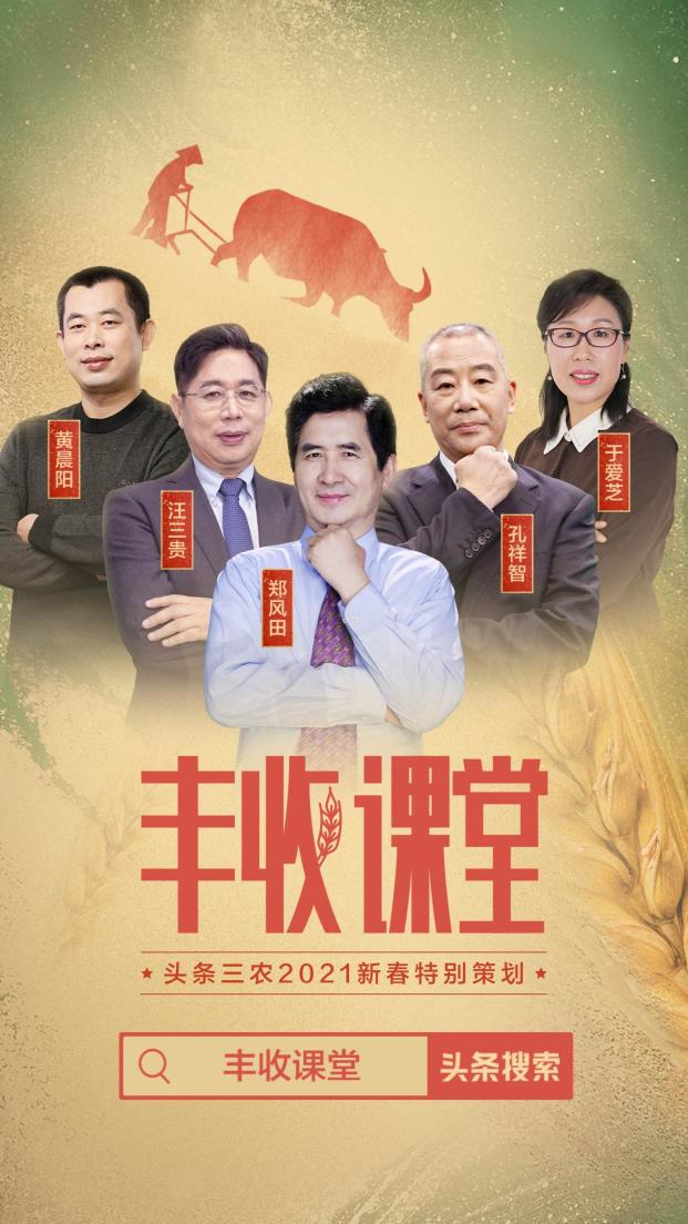 聚焦2020年度三農(nóng)關(guān)鍵詞，頭條上線新春特別策劃《豐收課堂》