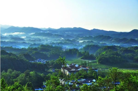 就地過年：這樣過出新鮮感！