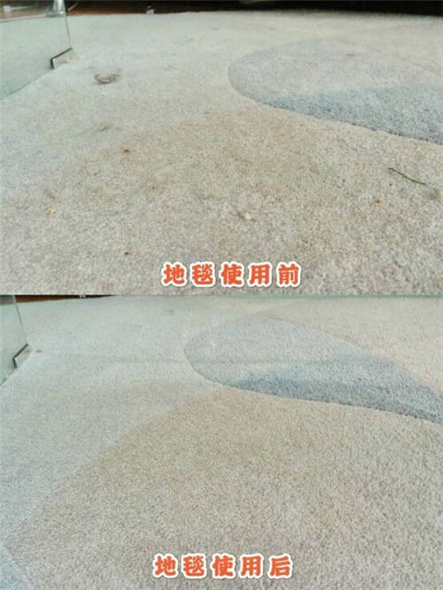 ?貓咪養(yǎng)成日記｜這個(gè)清理貓毛的小技巧你知道嗎？