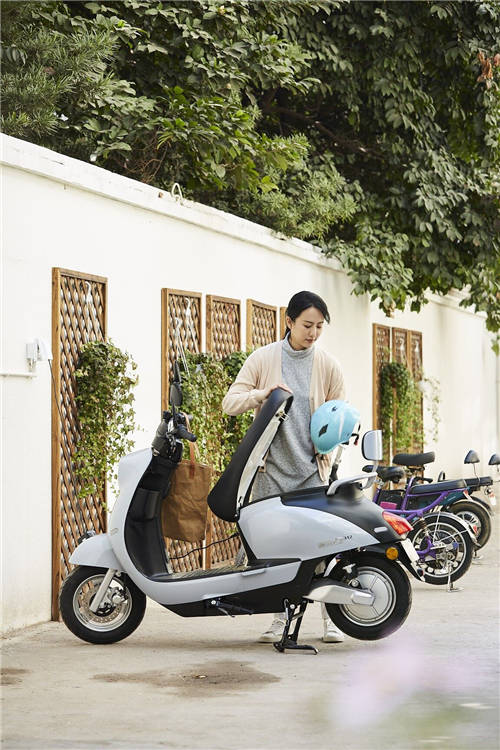行業(yè)洞見(jiàn)：2020年電動(dòng)車(chē)銷(xiāo)量排行，愛(ài)瑪憑實(shí)力榜上爭(zhēng)鳴！