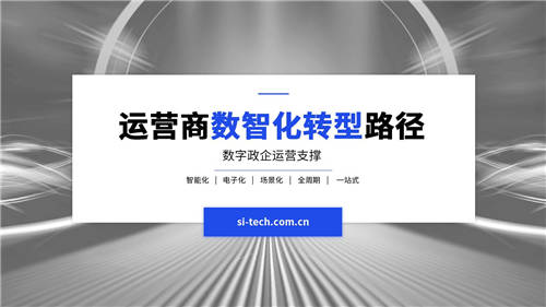 【運(yùn)營商數(shù)智化轉(zhuǎn)型路徑】思特奇數(shù)字政企：一站式支撐體系
