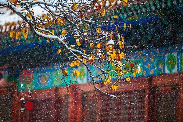 國潮當(dāng)?shù)?，美圖用傳統(tǒng)文化俘獲“后浪”