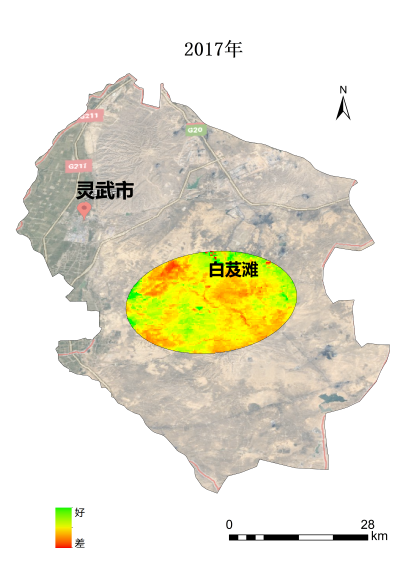 植樹節(jié)添新綠，平安科技展示“百萬植樹計劃”階段性成果
