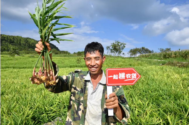 拼多多進(jìn)入陳磊時(shí)代