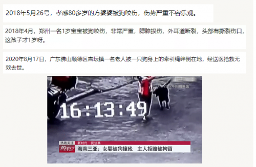 小視科技首發(fā)，遛狗不牽繩算法