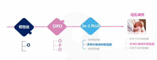 合生元派星雙重保護力呵護寶寶成長，用實力彌補喂養(yǎng)不足