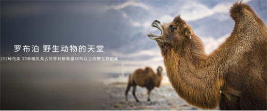 護航國家任務(wù) 長城炮護航2021羅布泊科考正式出征！