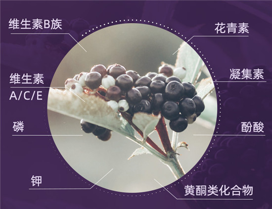 抗“疫”不能停！Sambucol黑接骨木莓糖漿為全家人的健康加碼