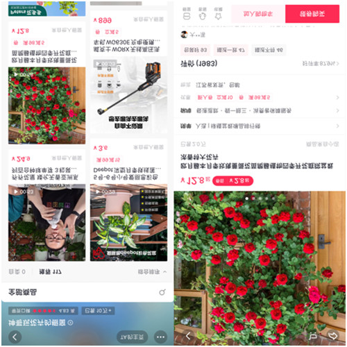 靠“沾花惹草”養(yǎng)家糊口，花卉達人坤哥在抖音電商用知識圈粉600萬